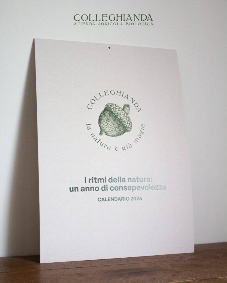Instagram post from colleghianda. This post is in position 8.