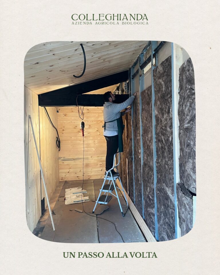 Instagram post from colleghianda. This post is in position 5.