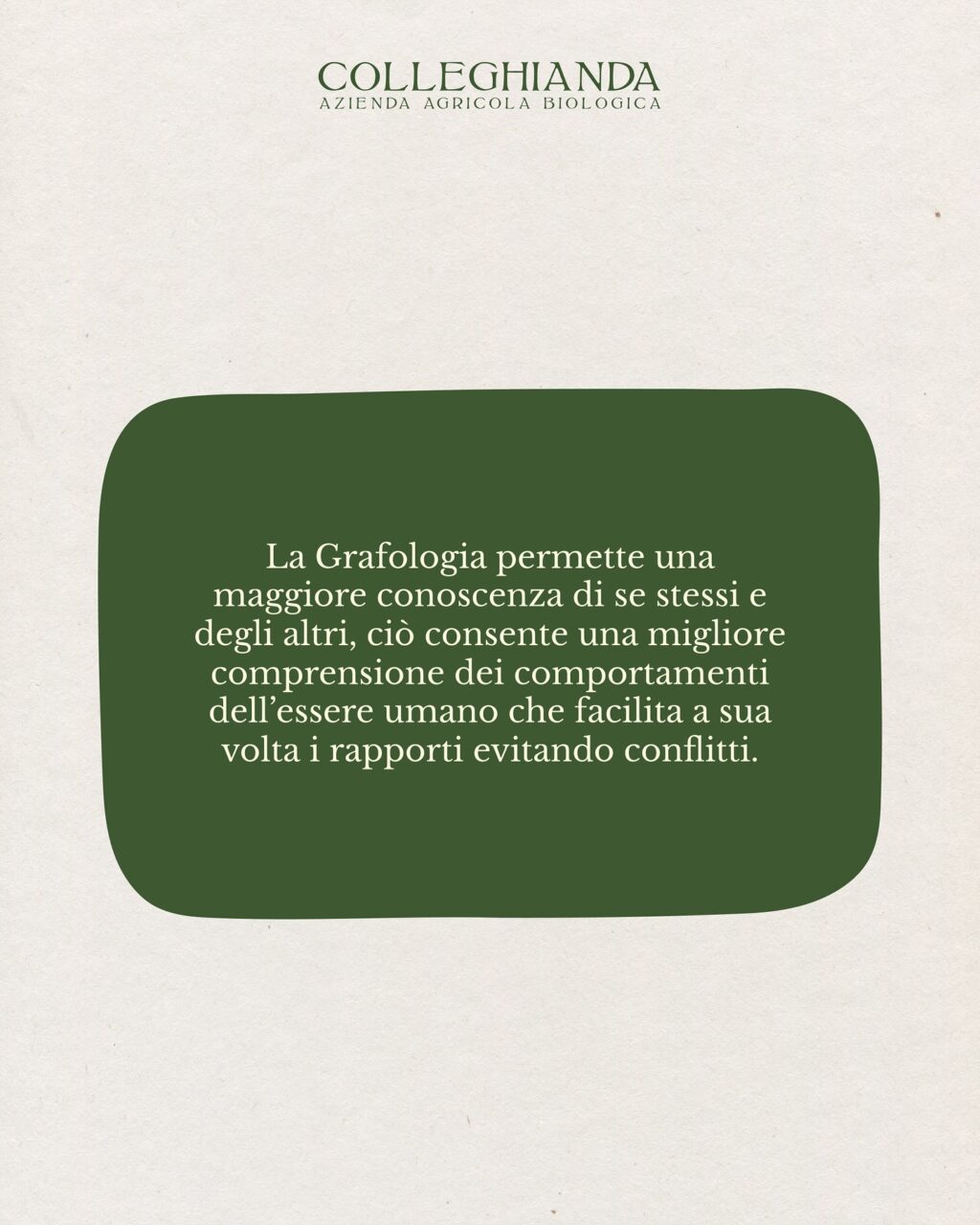 Instagram post from colleghianda. This post is in position 2.