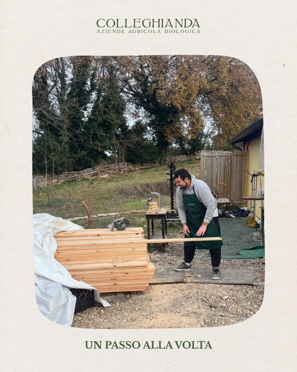 Instagram post from colleghianda. This post is in position 1.